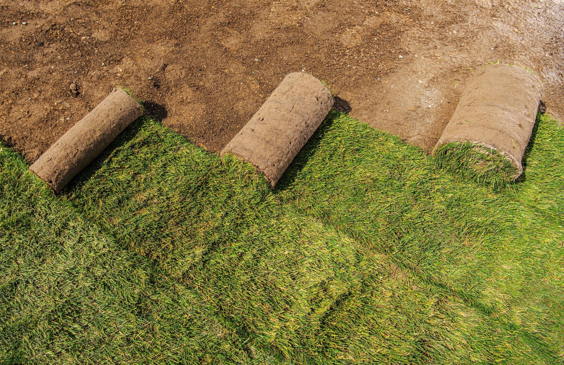 Landscape construction field photo