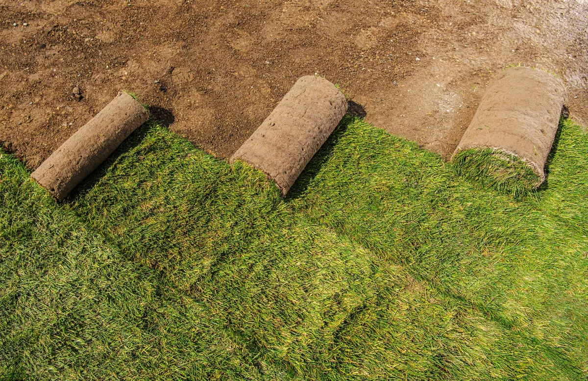 Landscape construction field photo