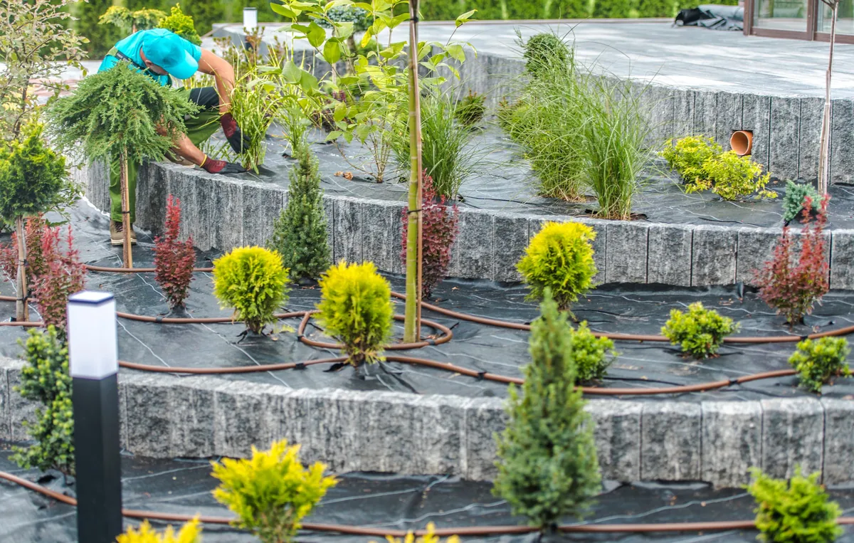 Landscape construction field photo
